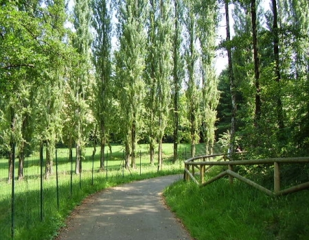 Pista Ciclabile Lago Comabbio