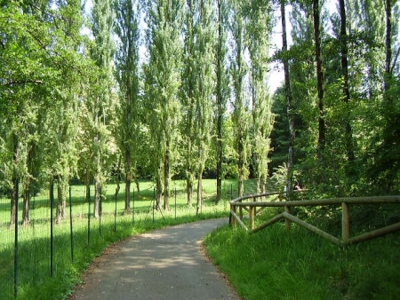 Pista Ciclabile Lago Comabbio